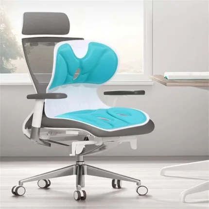 Lumbar Support Cushion